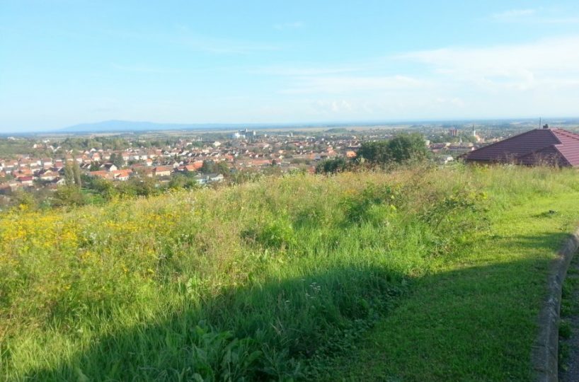 Građevinsko zemljište, Nova Gradiška (Slavča), 4.739 m2