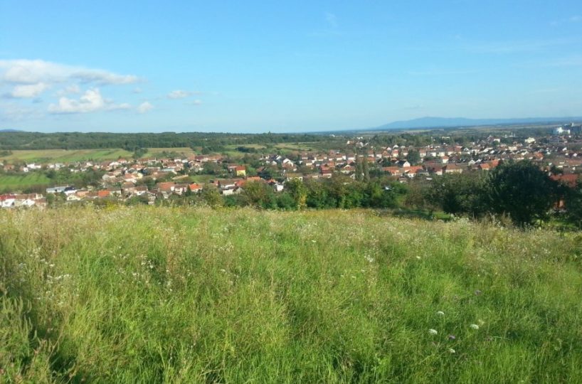 Građevinsko zemljište, Nova Gradiška (Slavča), 4.739 m2